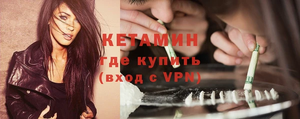 прущие грибы Вязьма