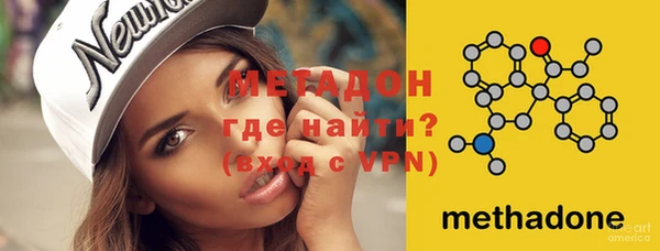 прущие грибы Вязьма