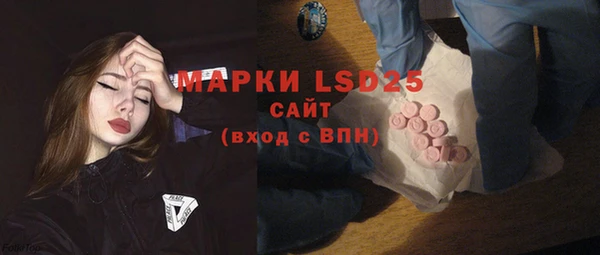 прущие грибы Вязьма