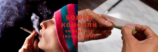 прущие грибы Вязьма