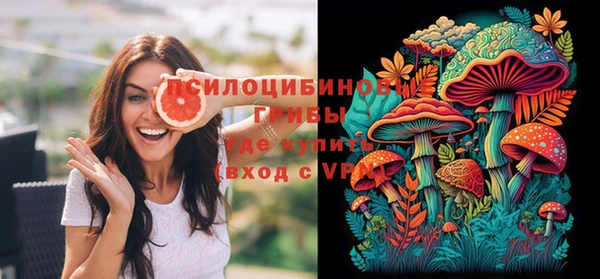 прущие грибы Вязьма
