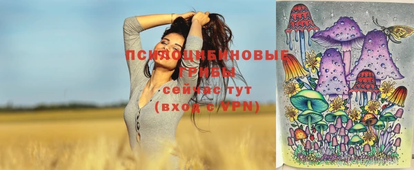 марки nbome Вяземский