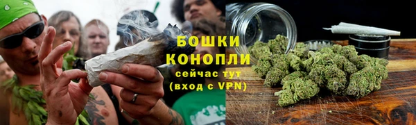 марки nbome Вяземский